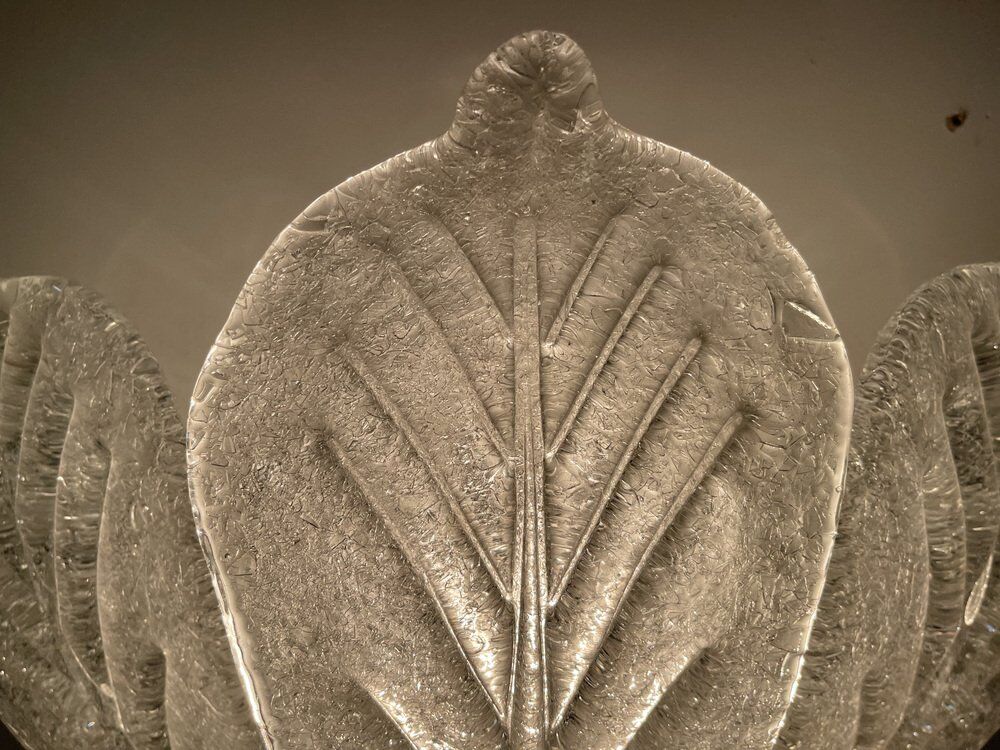 Murano glass leaf sconces, set of 2