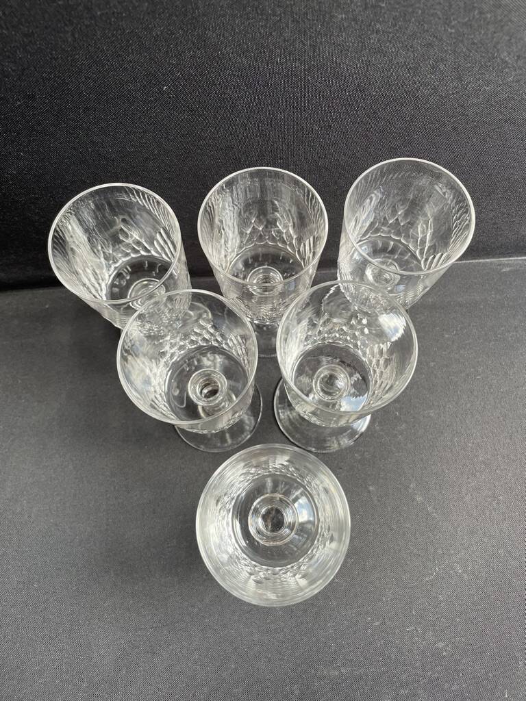 6 Baccarat Champigny cooked wine glasses