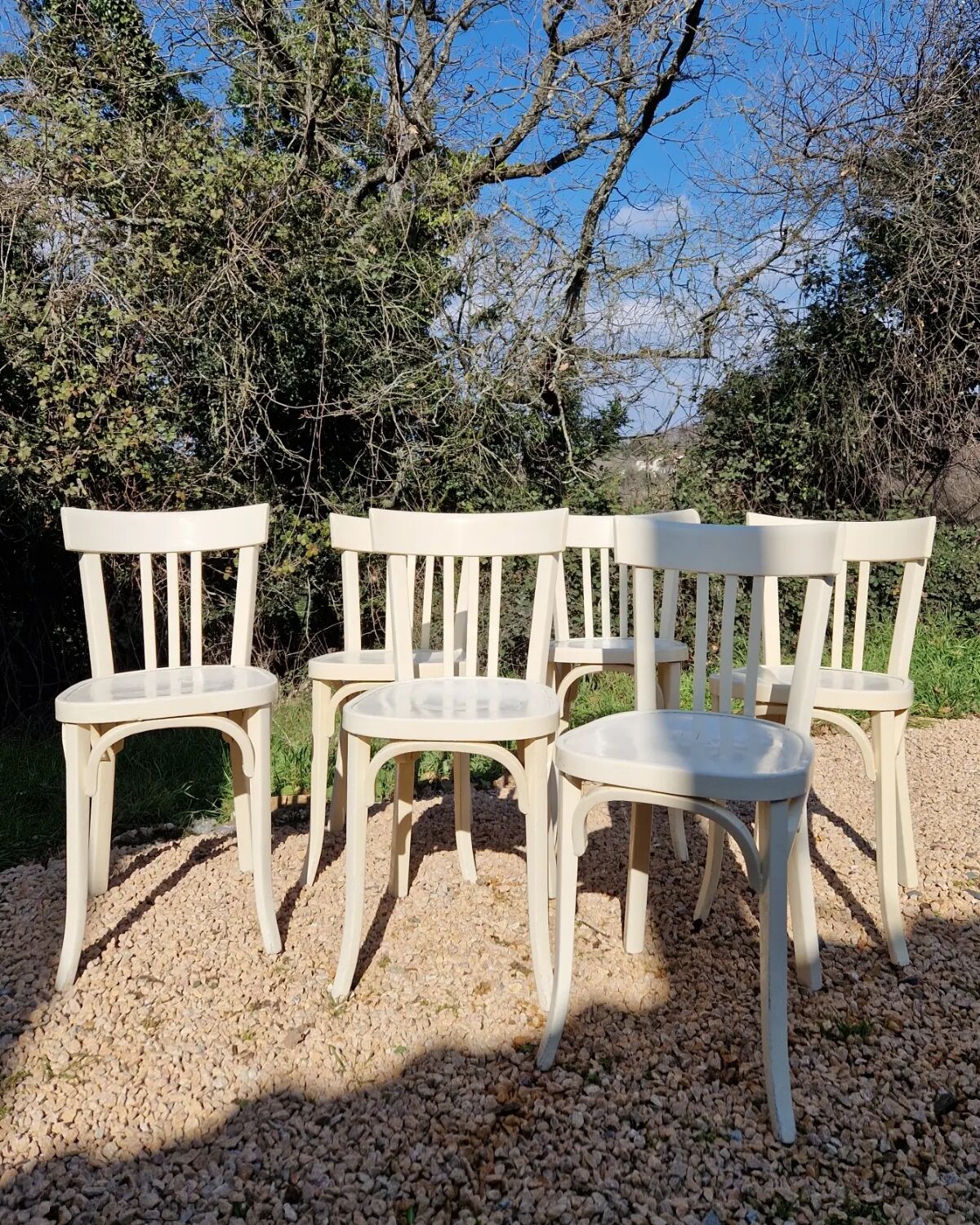 Bistro chairs x6