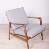 Model 300-139 Armchair from Swarzędzka Factory, 1960s