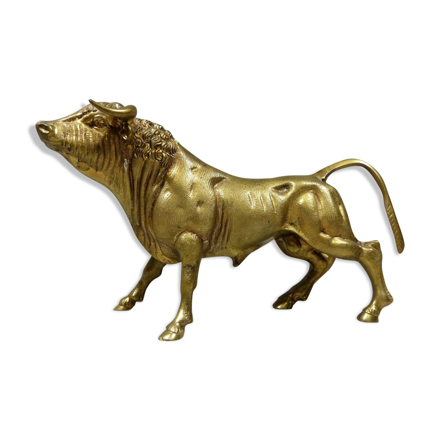 Brass Bull