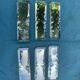 6 knife holders and a bottle bottom, glass, beveled mirror
