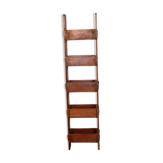 Shelf 5 levels in Burmese teak