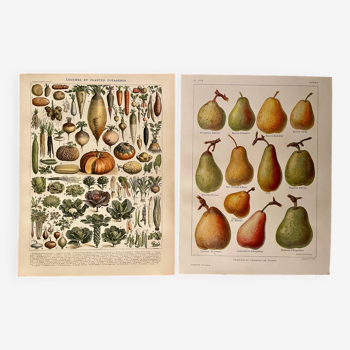 Réservé Sabine B - Lot de 2 lithographies sur les fruits