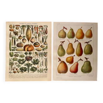 Reserved Sabine B - Lot of 2 lithographs on fruits