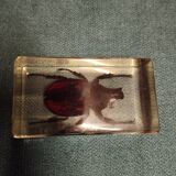 Beetle resin block