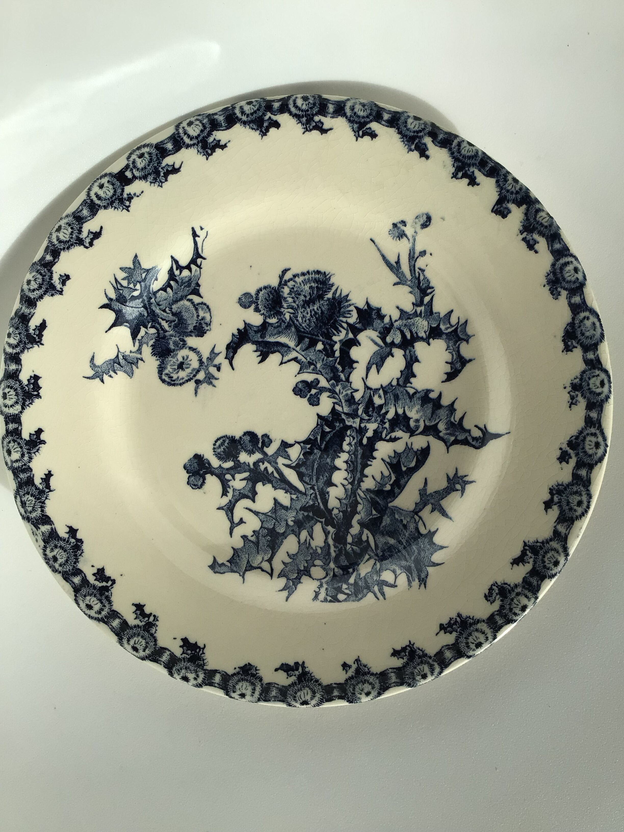2 Flat plates Gien Chardons dark blue