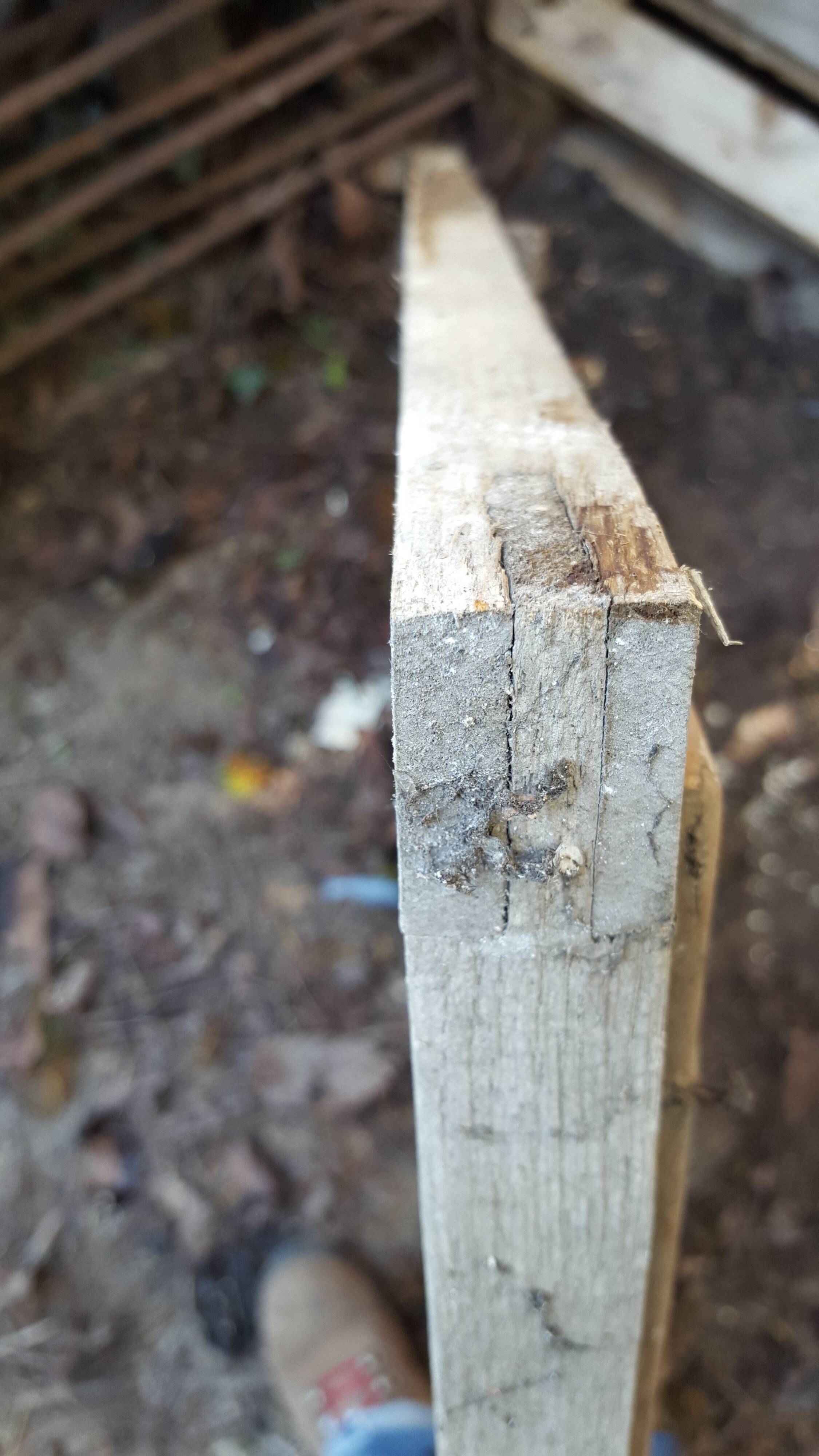 18th century window with its frame
