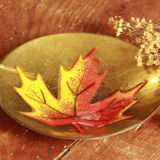 Empty pocket in enamel and copper