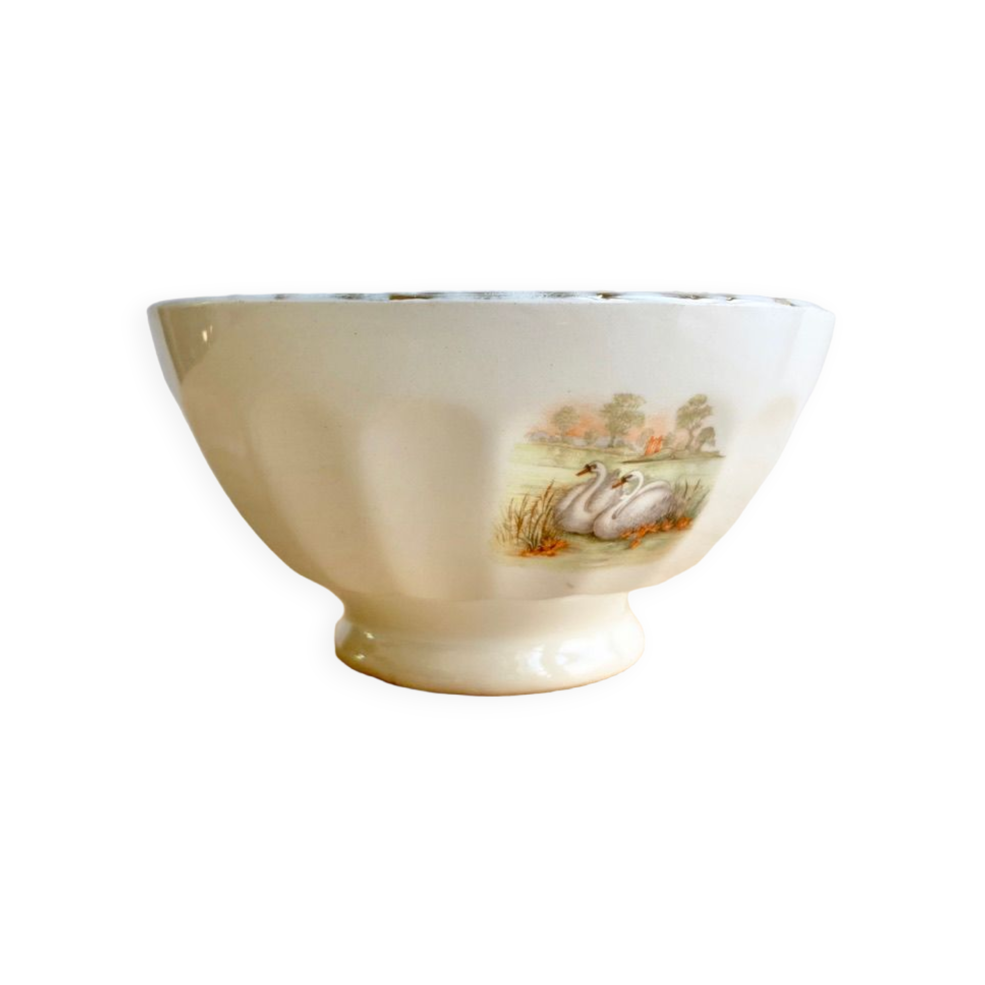 Vintage rib bowl "swan"
