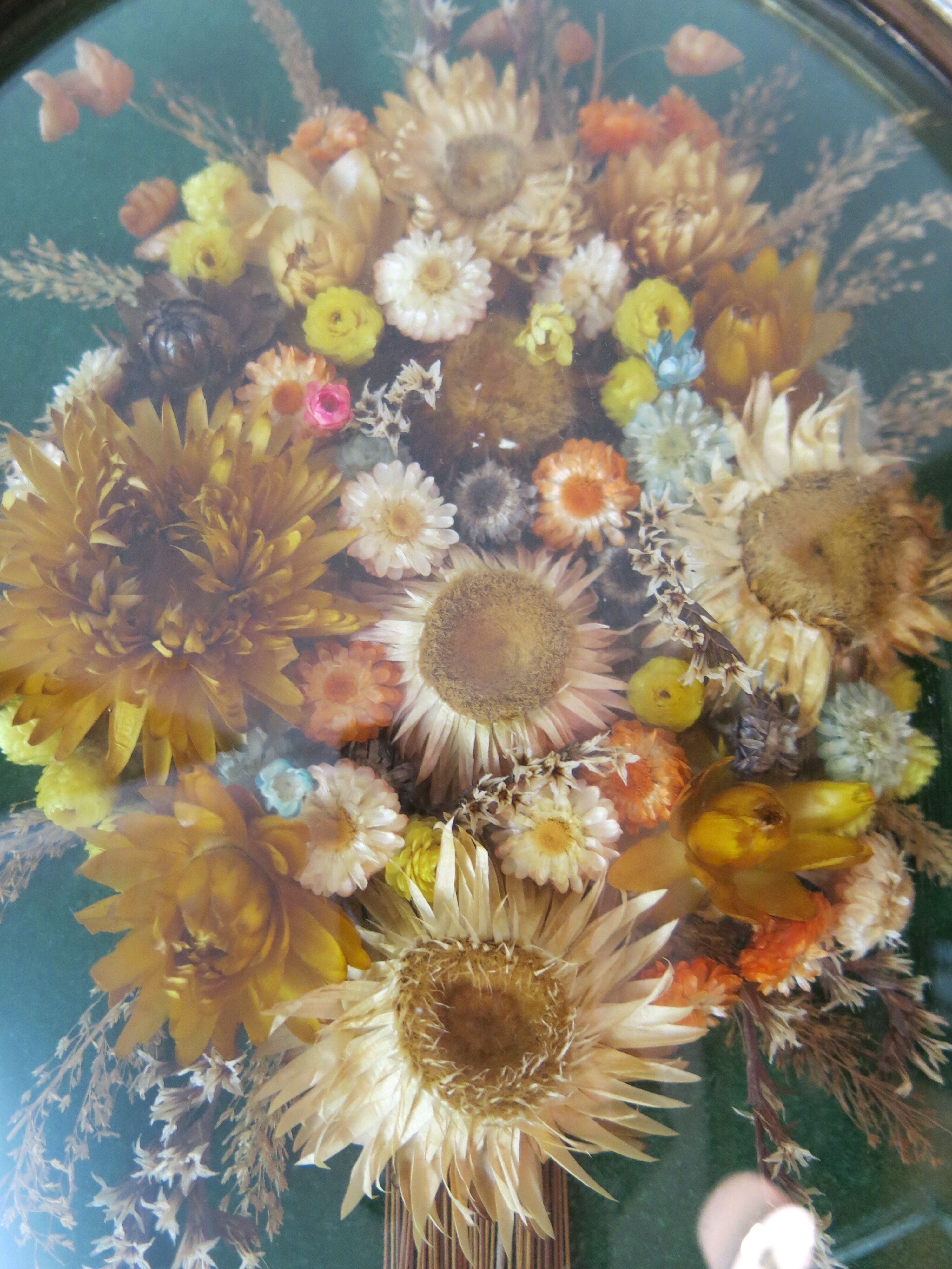Domed glass frame with its bouquet of dried flowers