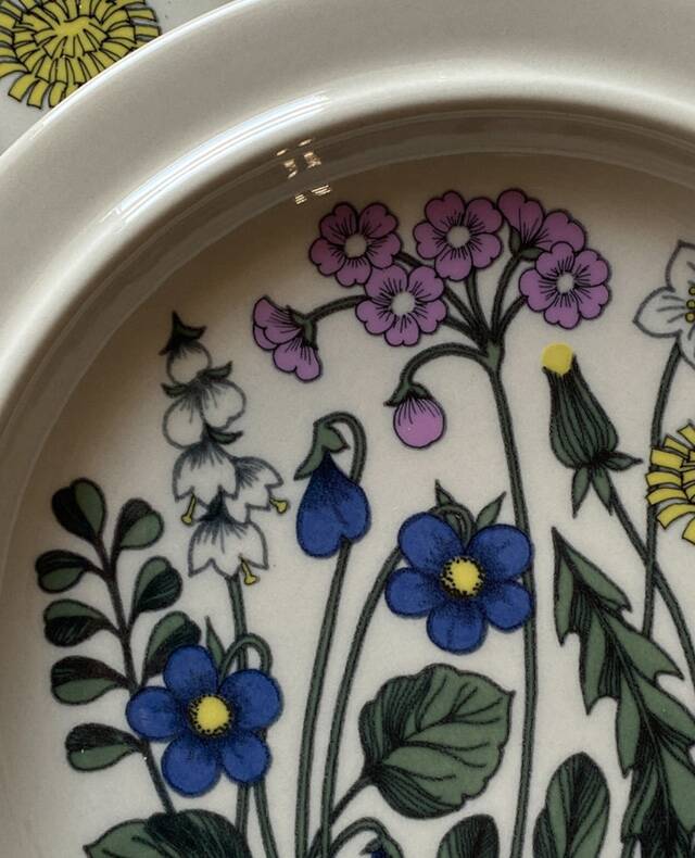 Flora flat plate service design Esteri Tomula