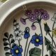 Flora flat plate service design Esteri Tomula