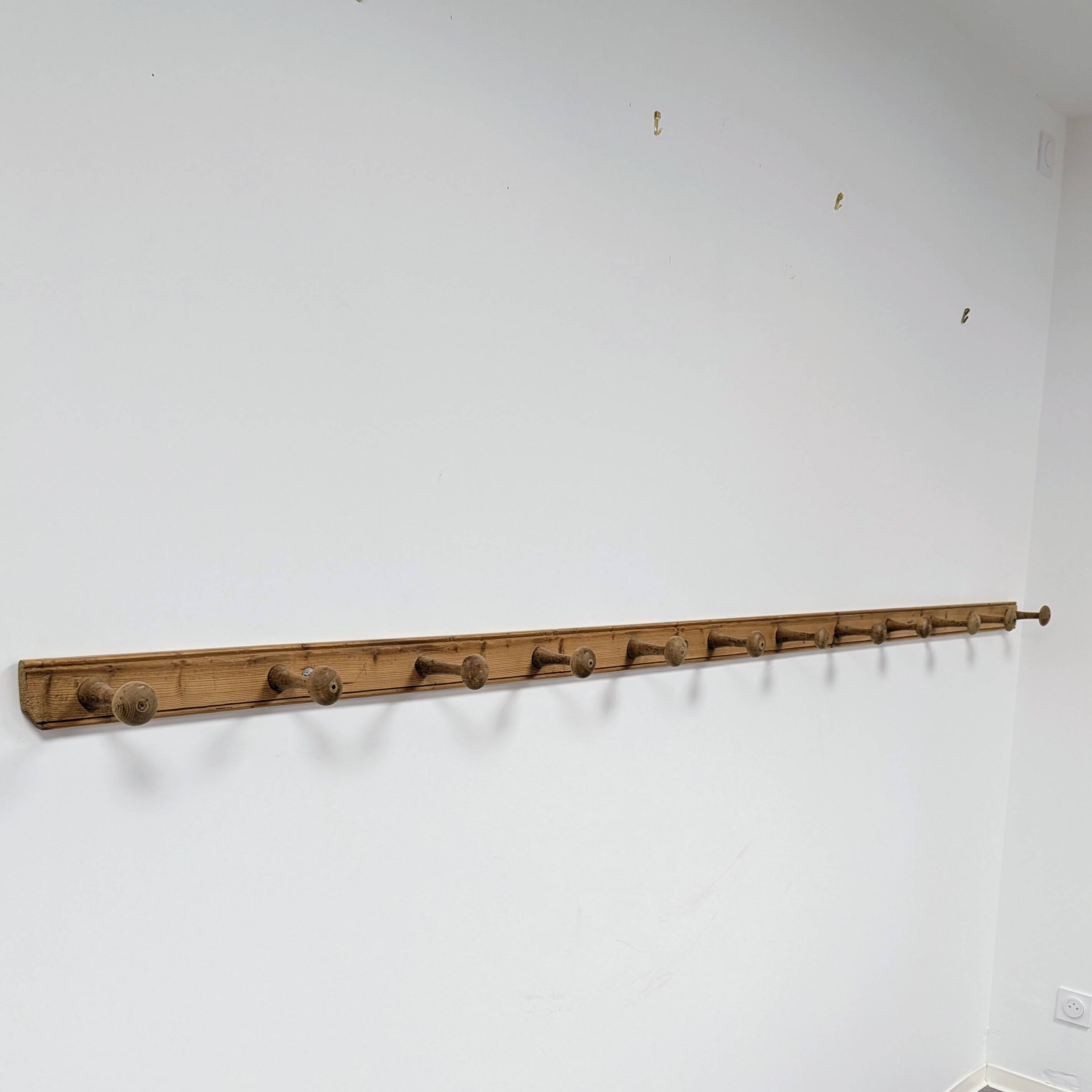 Wall-mounted coat rack with 12 hooks