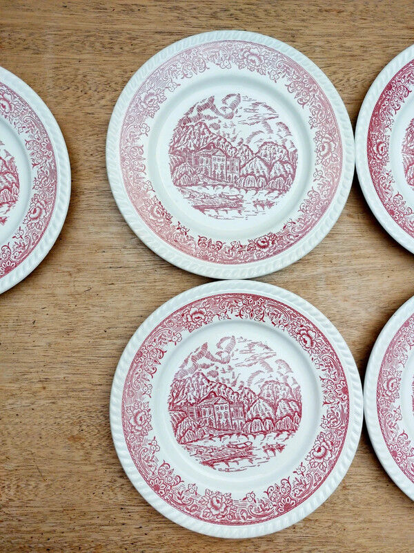 5 Badon dinner plates
