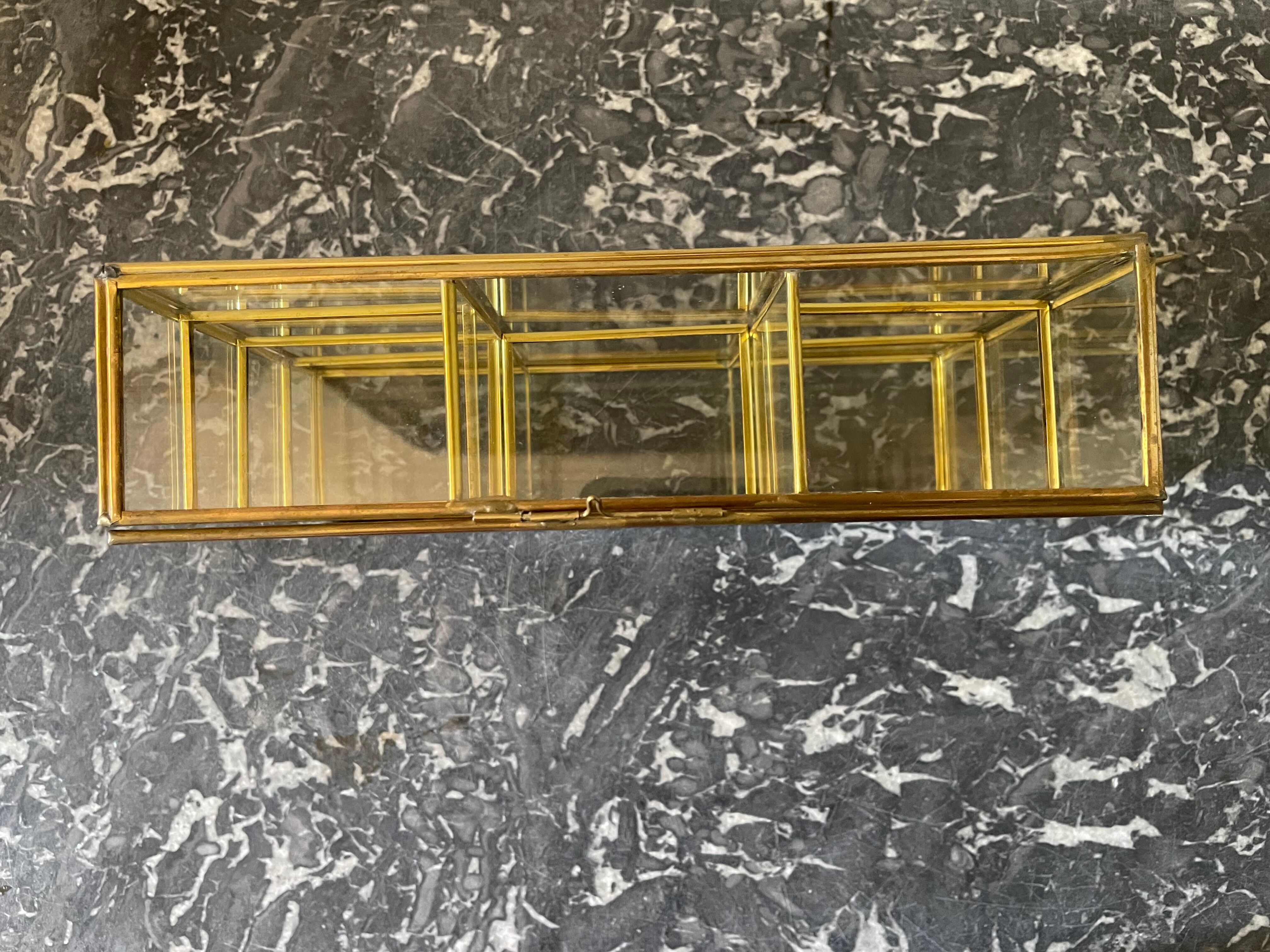 Glass and brass wall display case