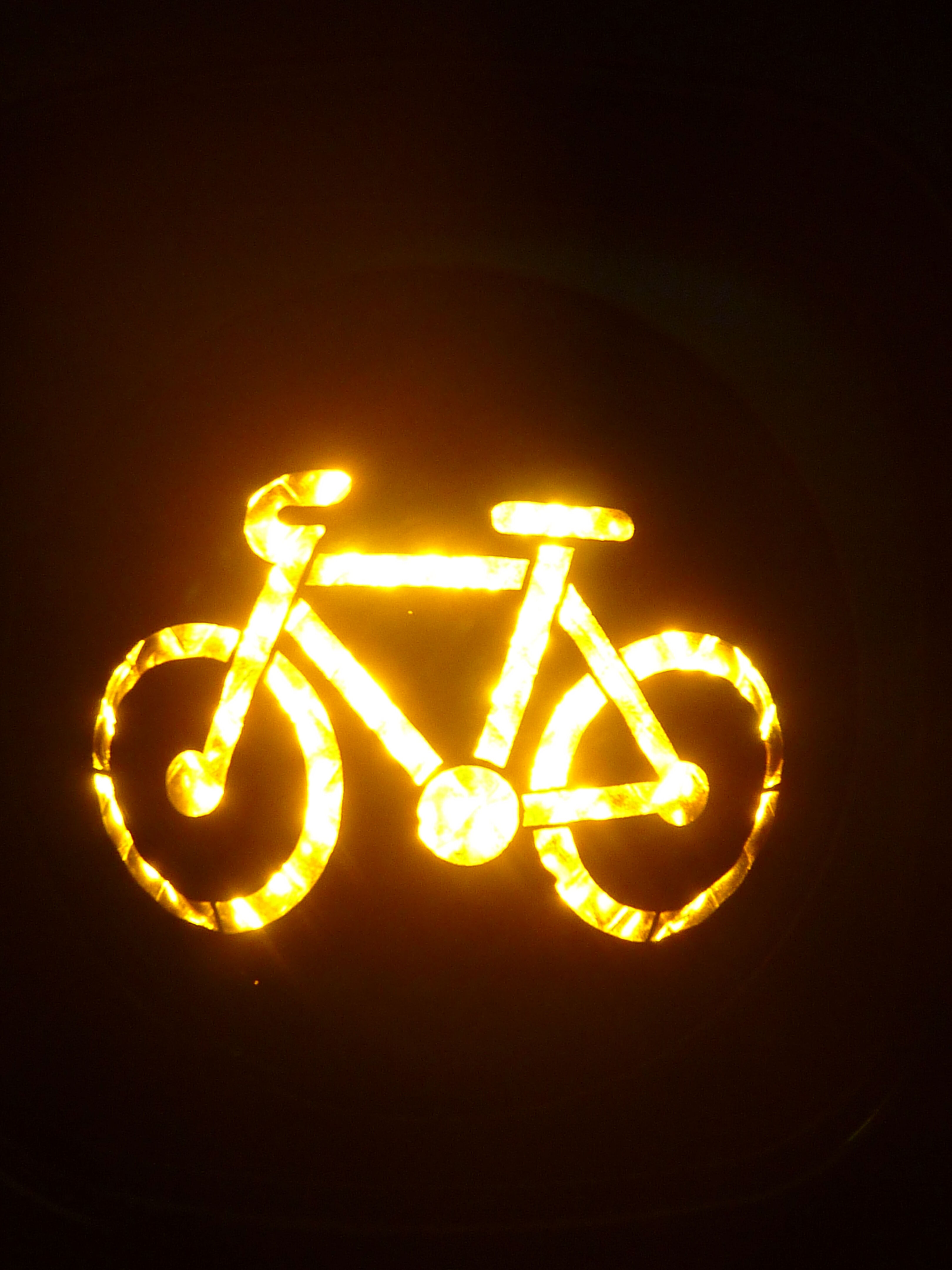 Bicycle traffic light