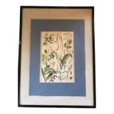 Planche III vintage originale fleurs