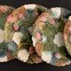 4 old and numbered dessert plates in slurry, strawberry model