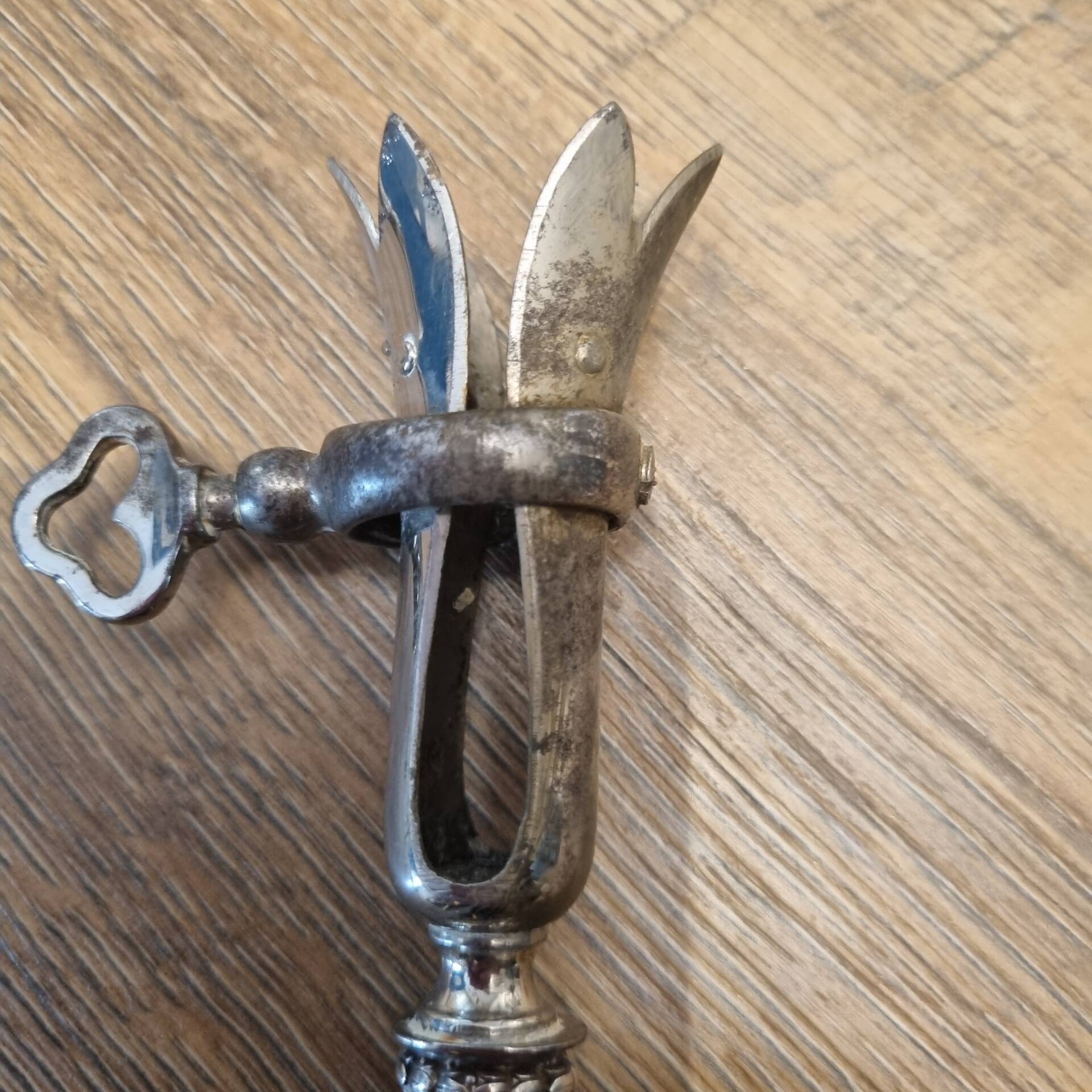 Pince a gigot début XXéme,  corne de vache