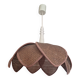 Lotus Suspension