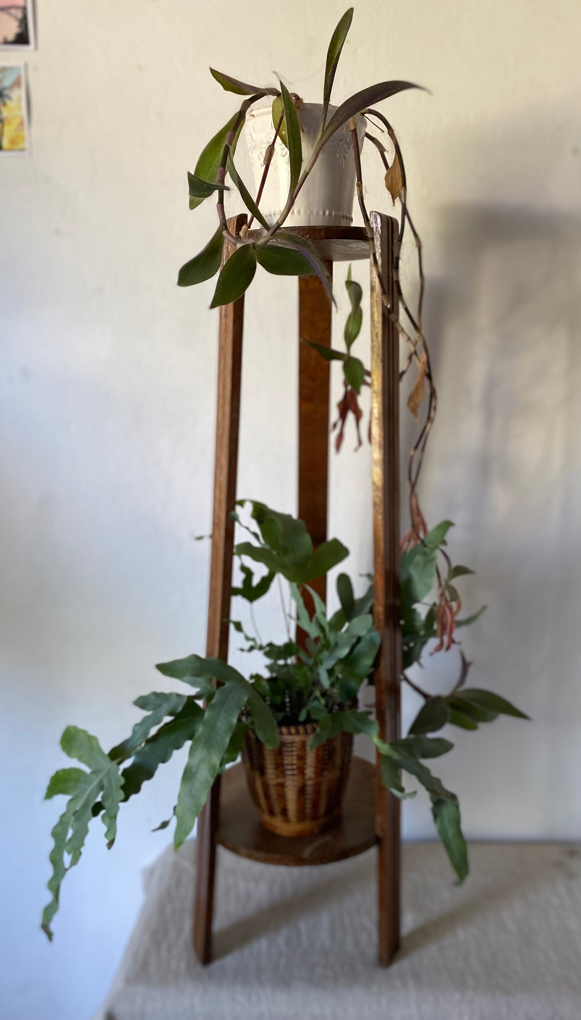Plant holder fifth wheel