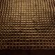 Rare Kyoto Rug by Gaetano Pesce for Expansion, 1969