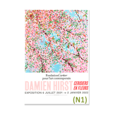 Damien Hirst poster