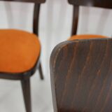 1950s Set of Four Restored Dining Chairs, Czechoslovakia