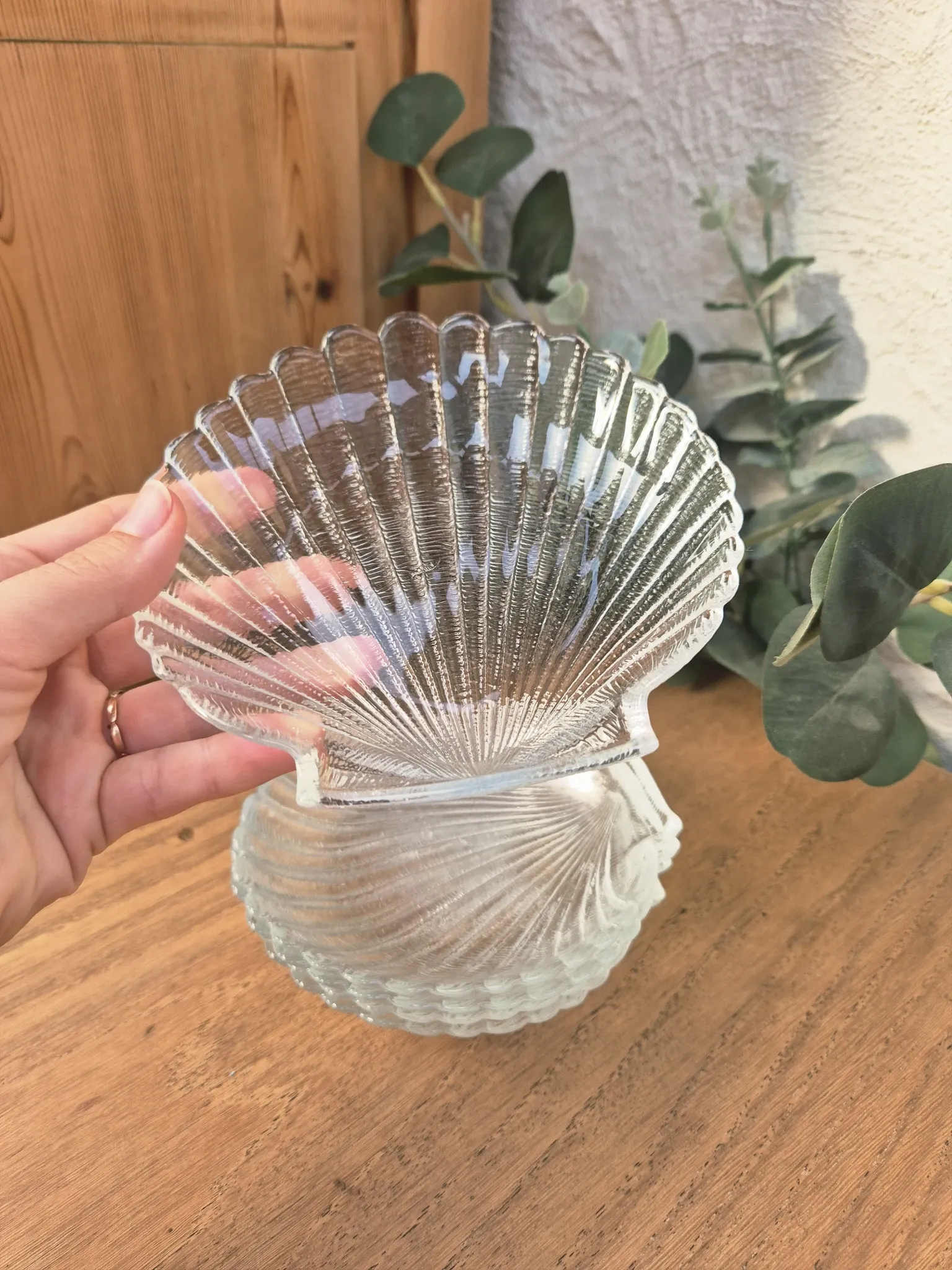 coupelles coquillage vintage