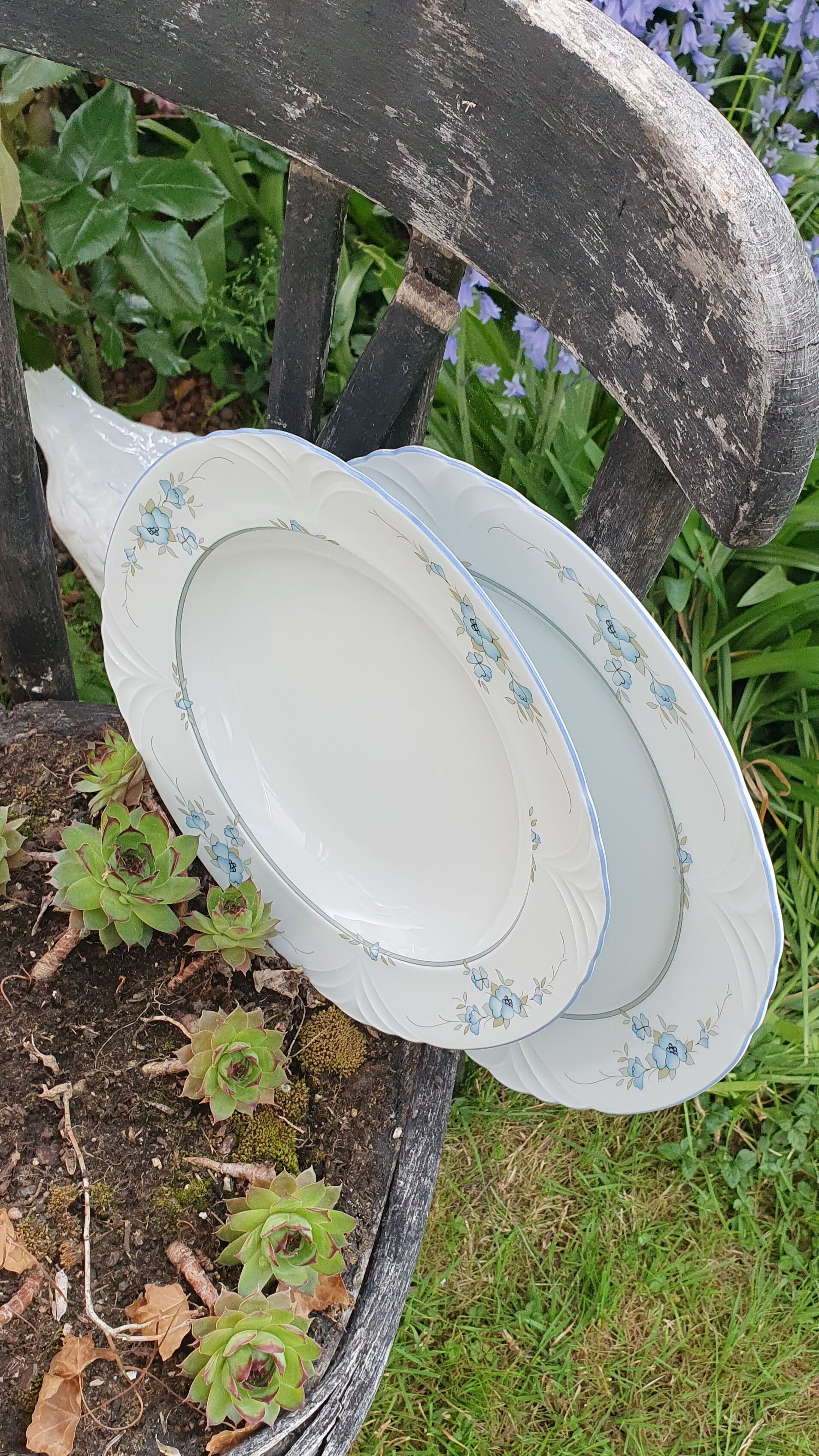 Porcelain dishes bavaria