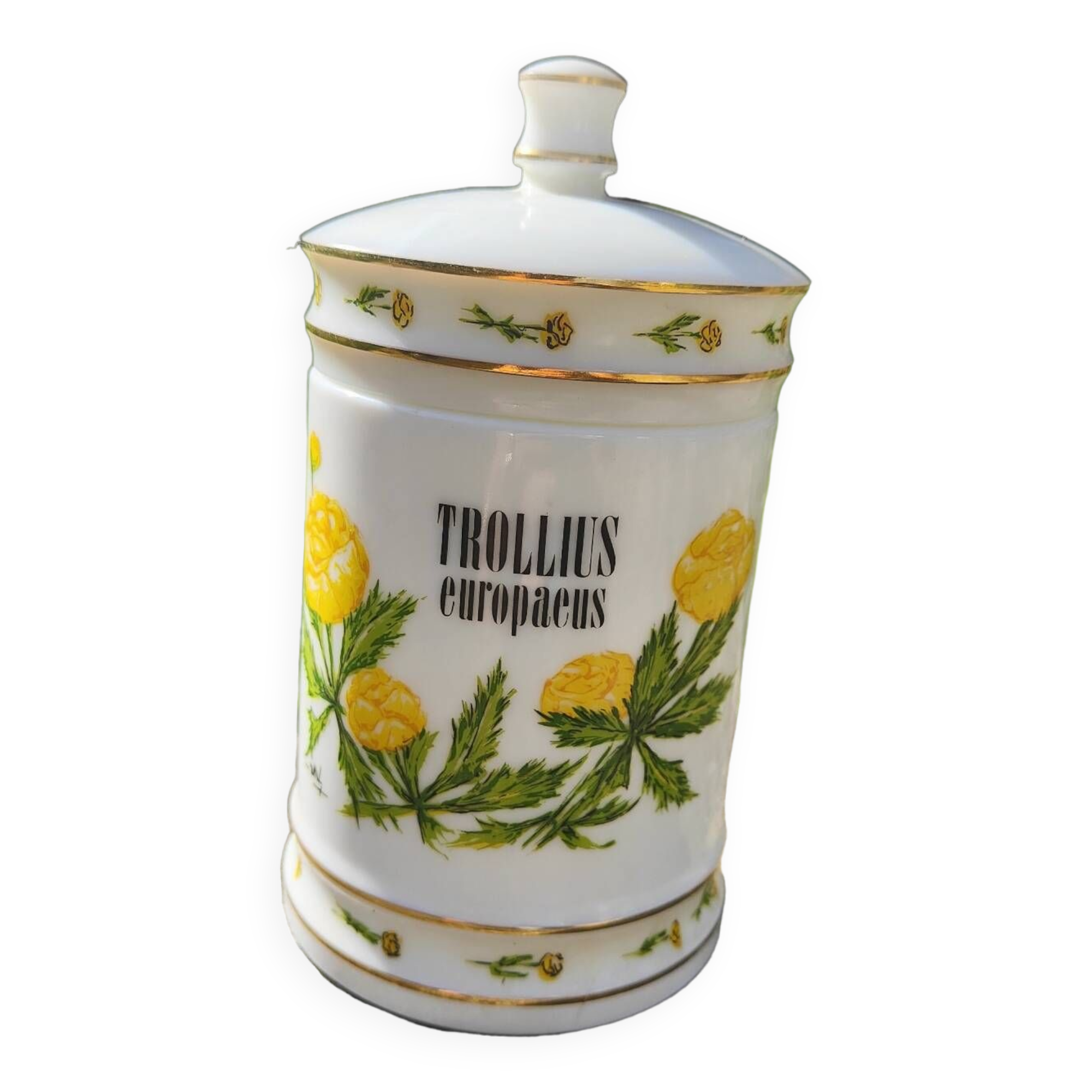 Opaline apothecary pot Vieux Rouen