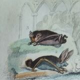 Planche Ornithologique originale " Chauve souris - Oreillard - &c... " Buffon 1836