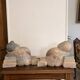Old Pair of Asian Bookends Exotic Wood Asia Buddha