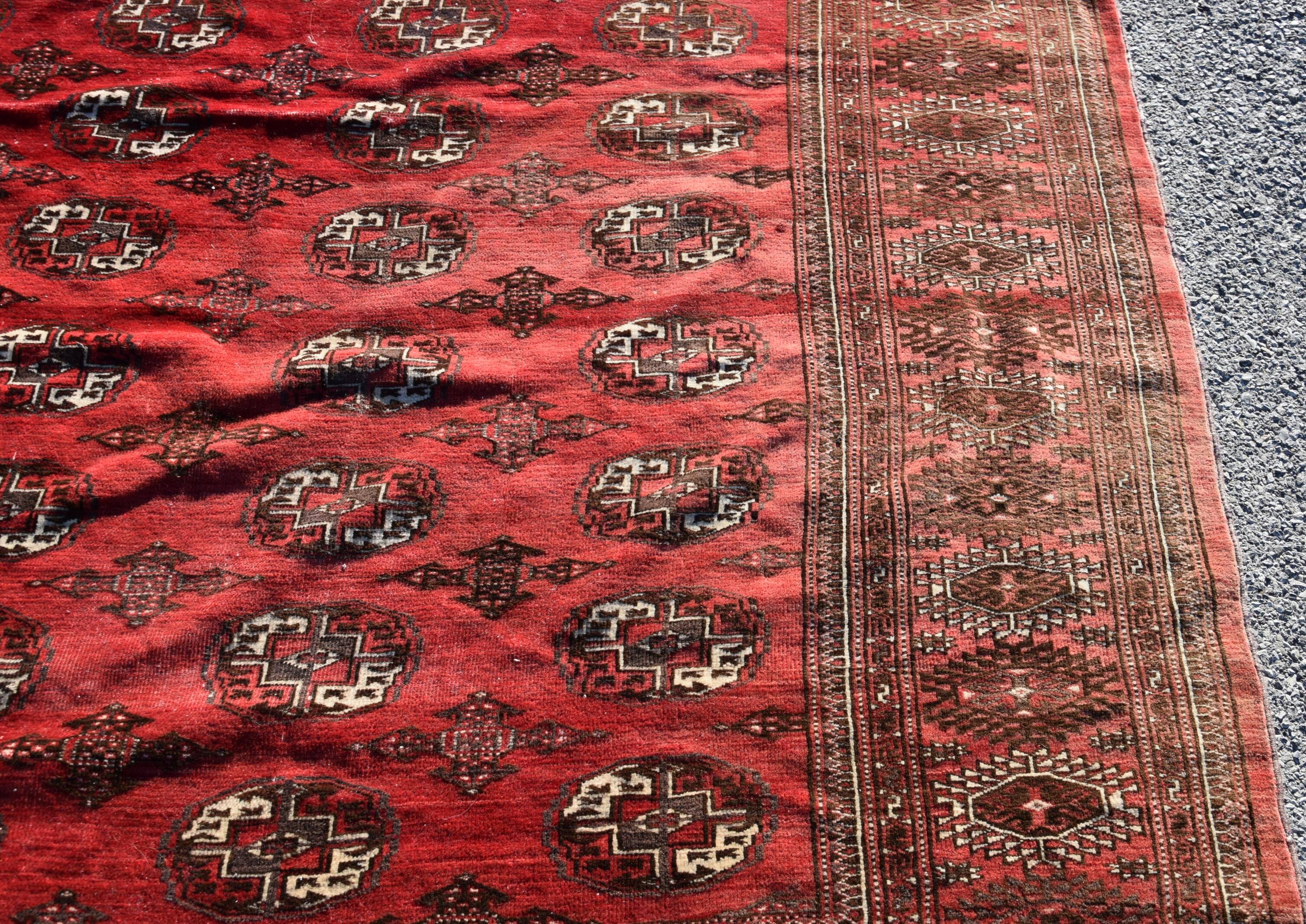 Tapis d'orient Boukhara Turkmène : 310 x 220 Cm