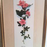 Série 4 Anciennes Planches Botaniques Fleurs GRANDALL + Cadre Bois Doré Vintage
