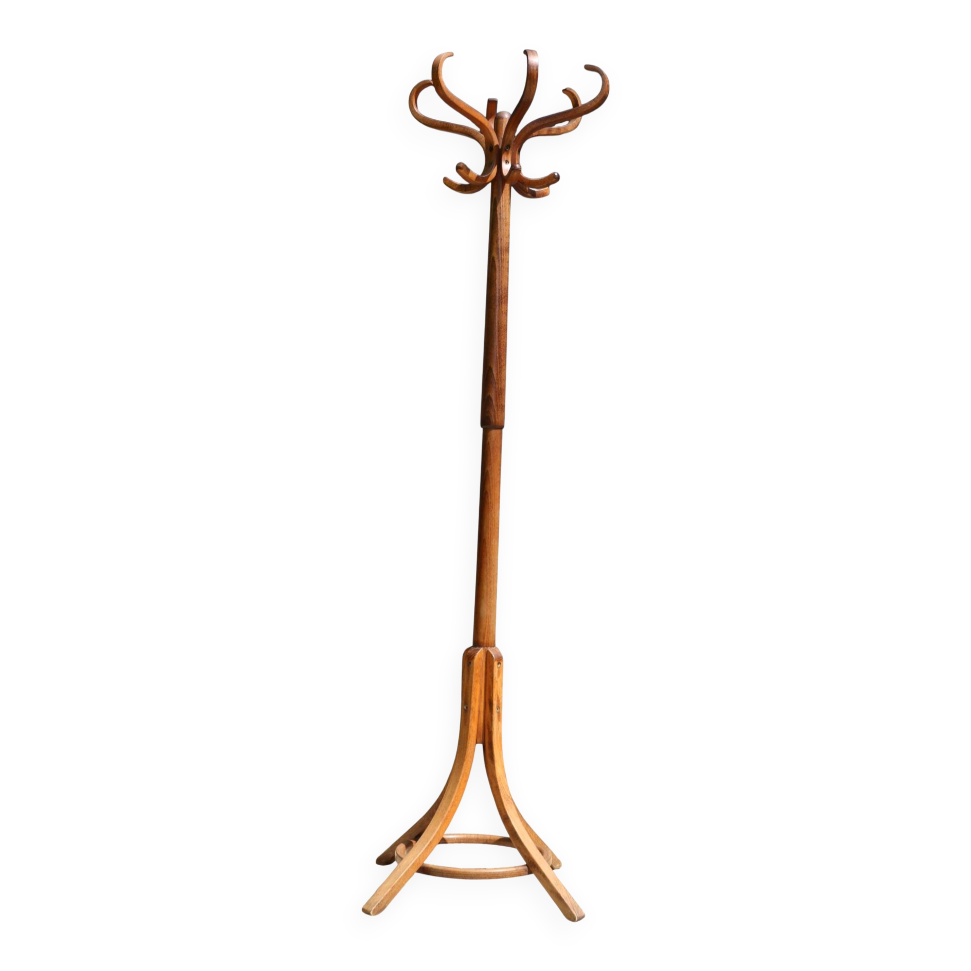 Dark BAUMANN parrot coat rack (A3)