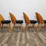 Dining Chairs by Antonin Suman, 1960s, Set of 4