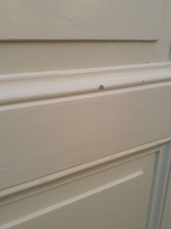 Door 229,2x79,2cm old closet