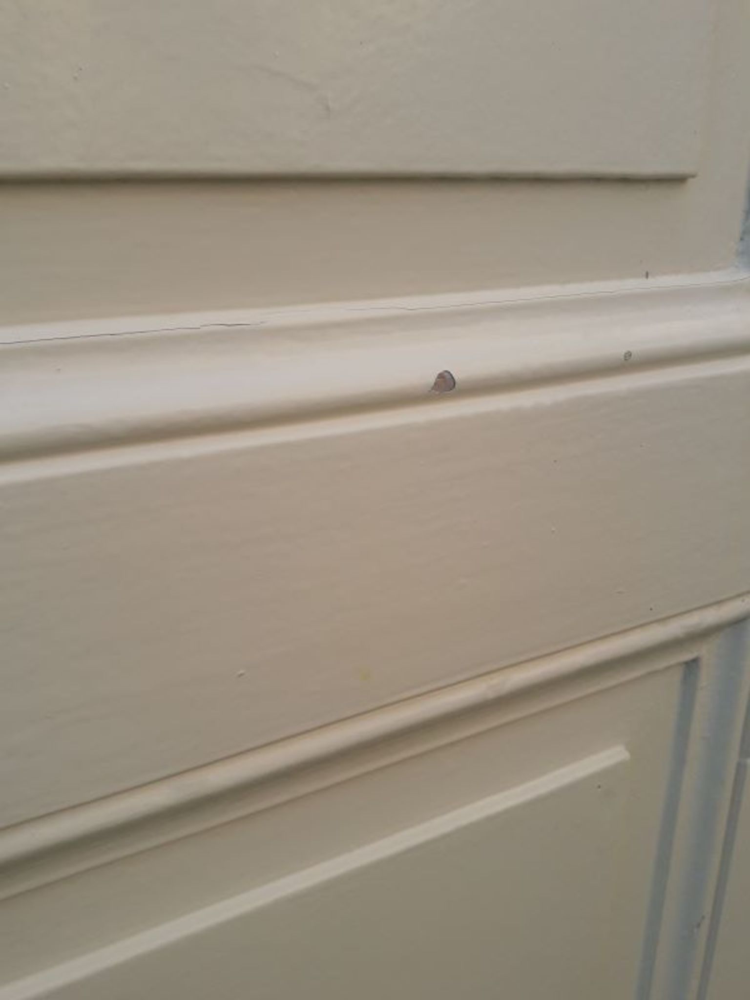 Porte 229,2x79,2cm de placard ancienne