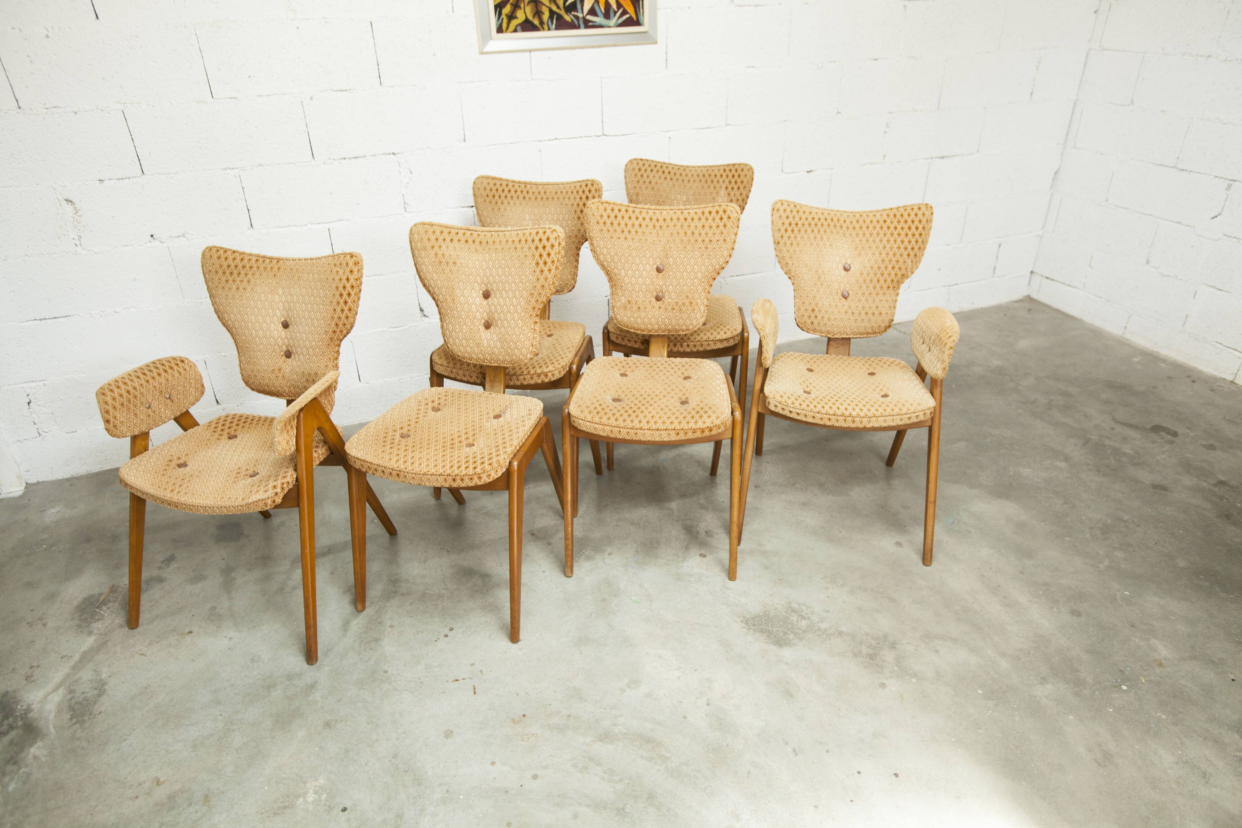 4 chairs and 2 Lounge armchairs by Roger Landault, ABC edition, 1950.