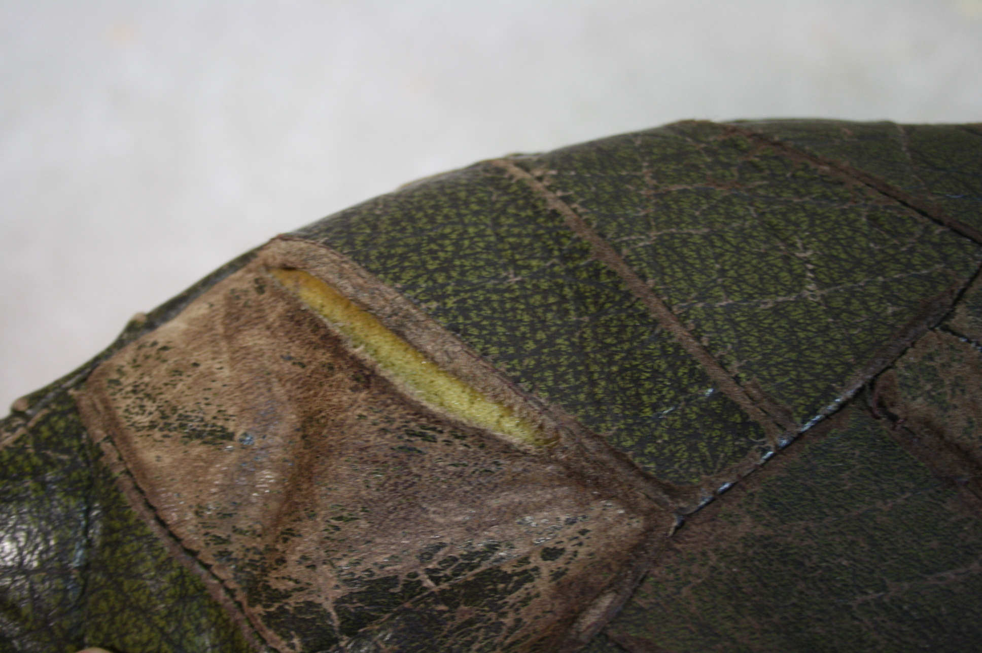 Pouf in black/green leather