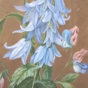 Antique painting - floral composition - gouache signed Gustinoff 1851