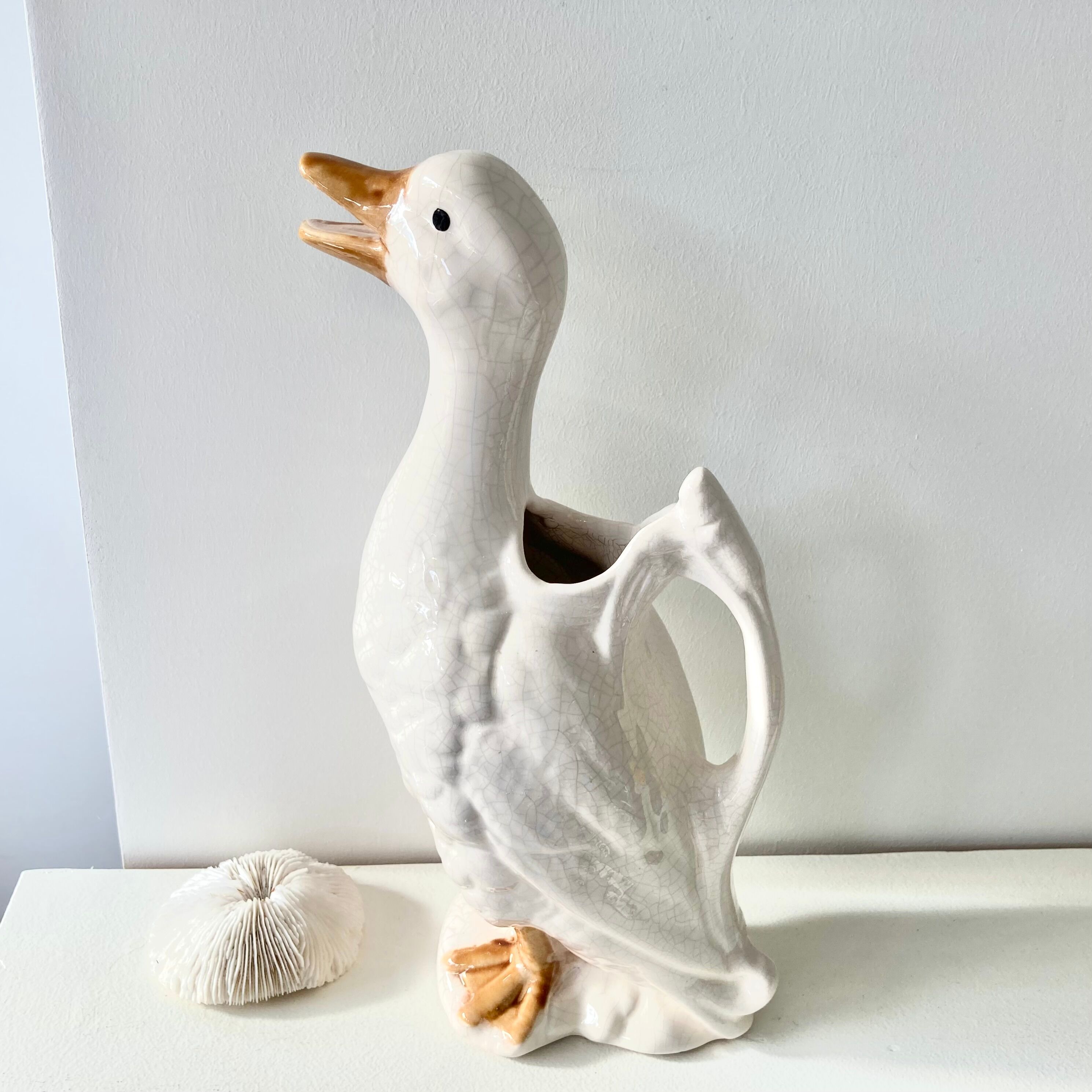 Pitcher duck slurry St Clément