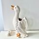 Pitcher duck slurry St Clément