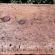 Workshop workbench L261xD50xH80,5cm old beech
