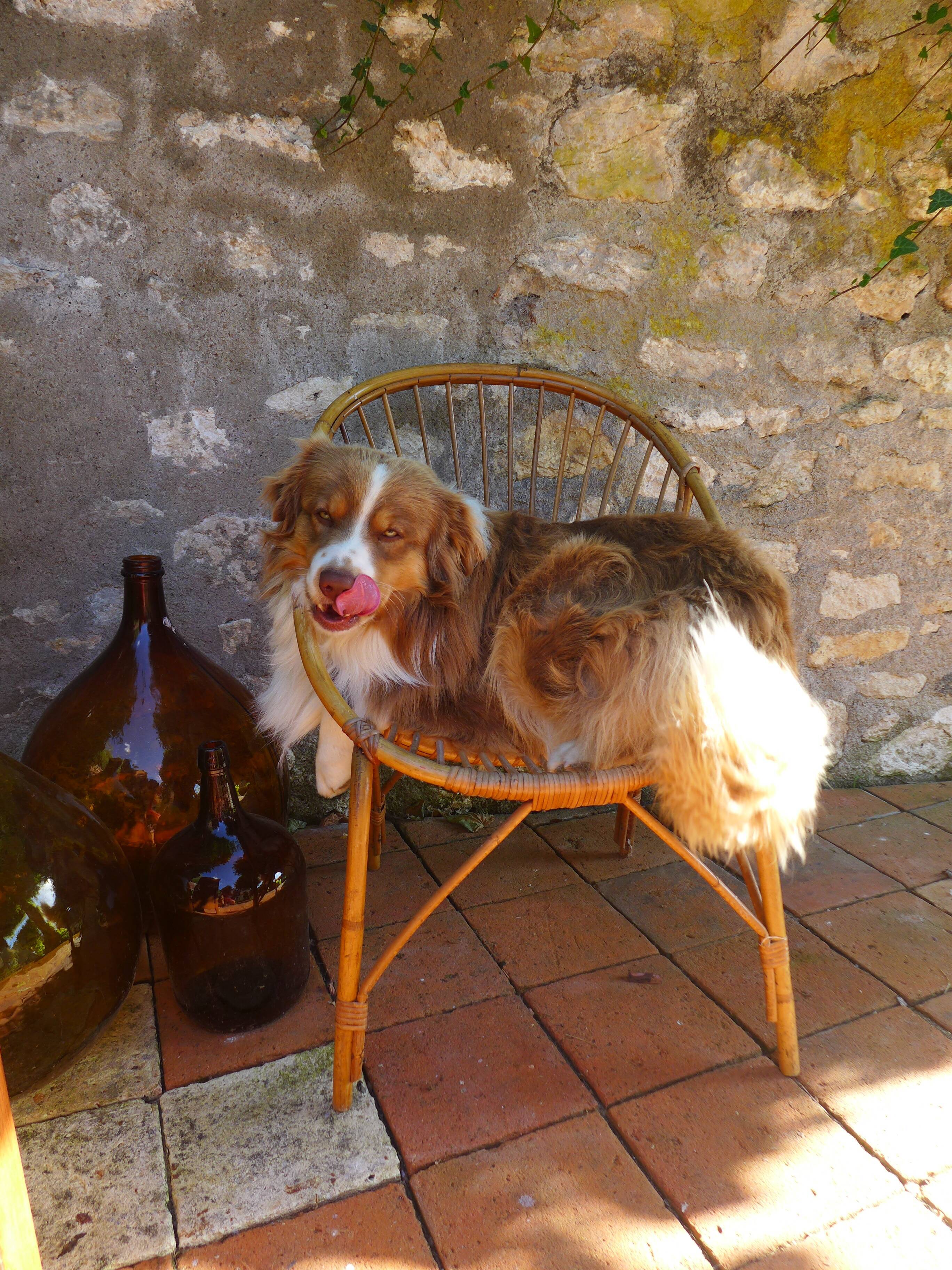 Vintage rattan armchair