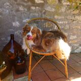 Vintage rattan armchair