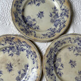 U&G Sarguemines Épine plates