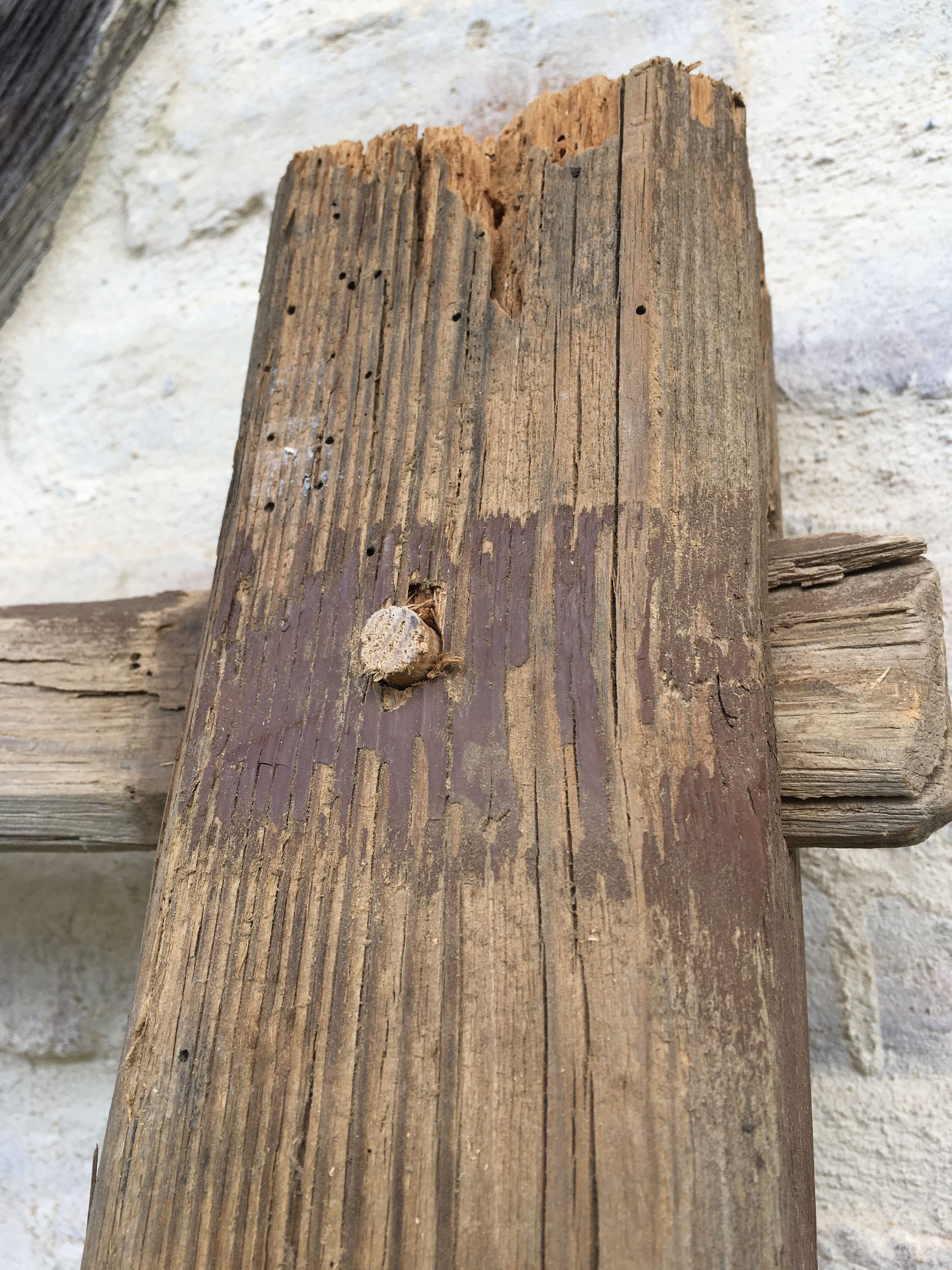 Raw wood farm ladder